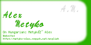 alex metyko business card